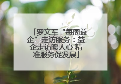 罗文军“每周益企”走访服务：益企走访暖人心 精准服务促发展